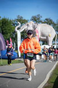 BIB: 
                            <button type="button" onclick="openModal(26543008)" class="btn btn-primary btn-sm float-right btn-popup" data-toggle="modal" data-target=".modal-high-quality">
                        <i class="fas fa-shopping-cart"></i> Add to Cart
                    </button>
                                            <button type="button" onclick="isThisMe(26543008, true)" class="btn btn-success btn-sm float-right btn-popup btn-isme hidden" data-toggle="tooltip" data-placement="bottom" title="นี่คือรูปของคุณใช่ไหม คลิกที่นี่เพื่อเอาเข้าอัลบั้ม">
                        <i class="fas fa-plus"></i> Add to album
                    </button>
                    <button type="button" onclick="isThisMe(26543008, false)" class="btn btn-warning btn-sm float-right btn-popup btn-isnotme hidden">
                        <i class="fas fa-ban"></i> Remove from album
                    </button>